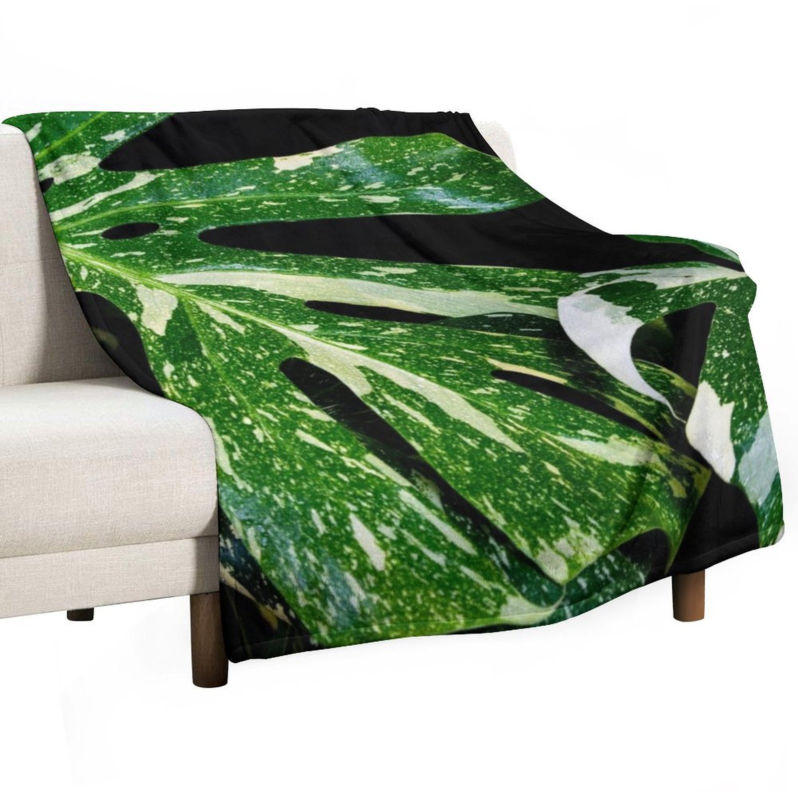 Monstera Thai Constellation Pl - Monstera Thai Constellation recensie en prijs