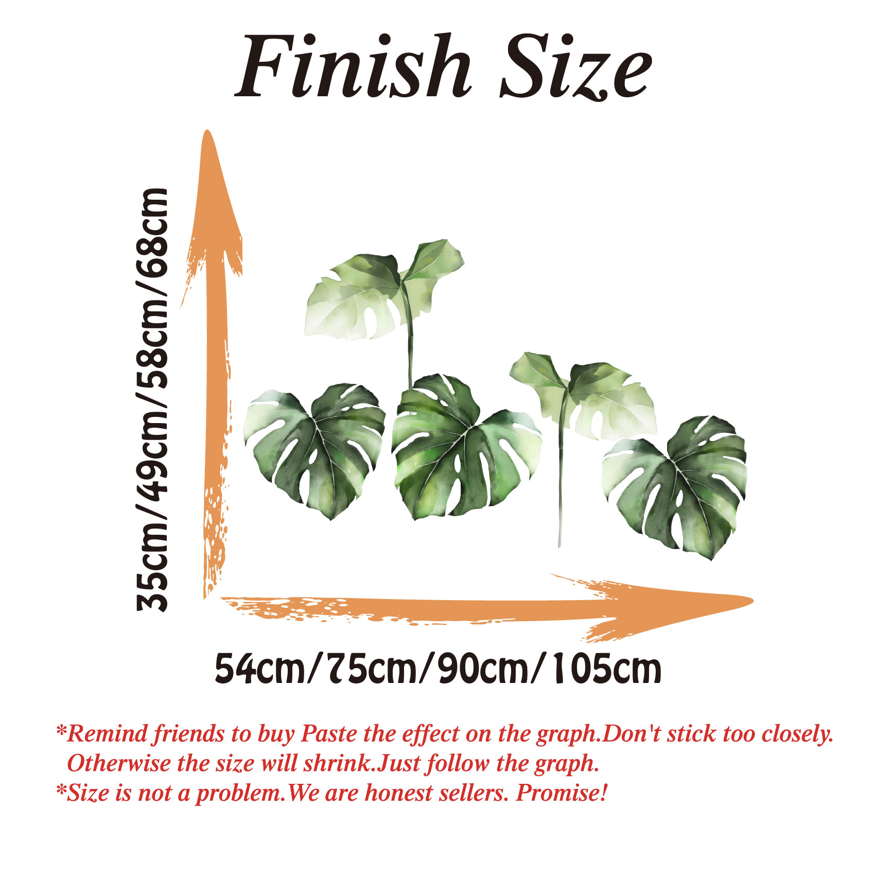 Aquarel Monstera tropische jun - Monstera Thai Constellation recensie en prijs