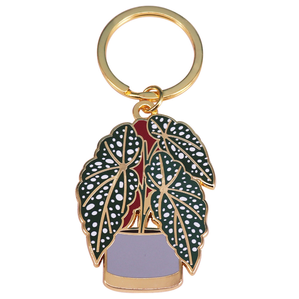 Begonia Plant Keyfob Schattige - Monstera Thai Constellation recensie en prijs