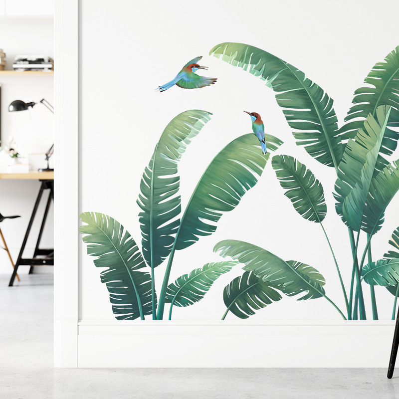 Tropische plant bananenblad vi - Monstera Thai Constellation recensie en prijs